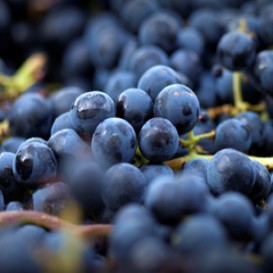 Regalo de Vinoterapia en Termas de Híspalis