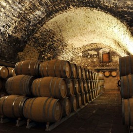 Bono Pedalea entre Viñedos en ORA Hotel Priorat