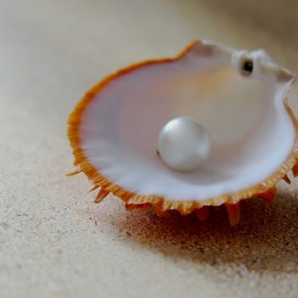 Voucher Pearl Wrap no Spa do Hotel Comendador