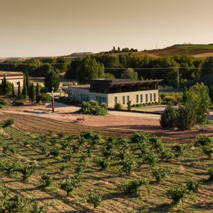 Escapada Enologica Piedra Adega e Vinhedos em Toro