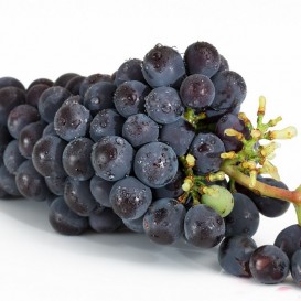 Wine Therapy Gift Voucher at SPA Atlantico de O Grove