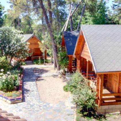Oleosalud Experience: swimming pool, massage, oil tasting and a visit to the Olive Oil Mill (2 nights)