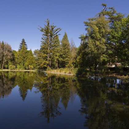 Bono Regalo Eco House Privilege en Pedras Salgadas SPA Nature Park