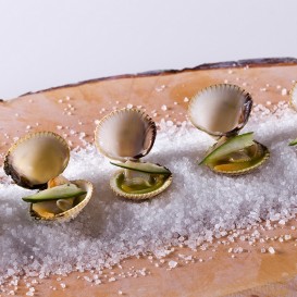 Voucher de Spa 2 Horas e Almoço ou Jantar para 2 no Pazo Los Escudos