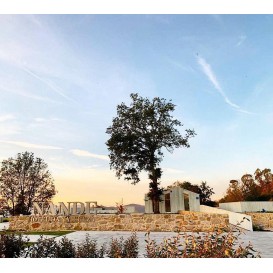 Une expérience romantique Nande Hôtel de la nature