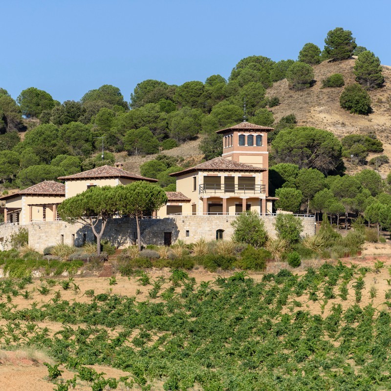 Piedra Bodega & Vinedos