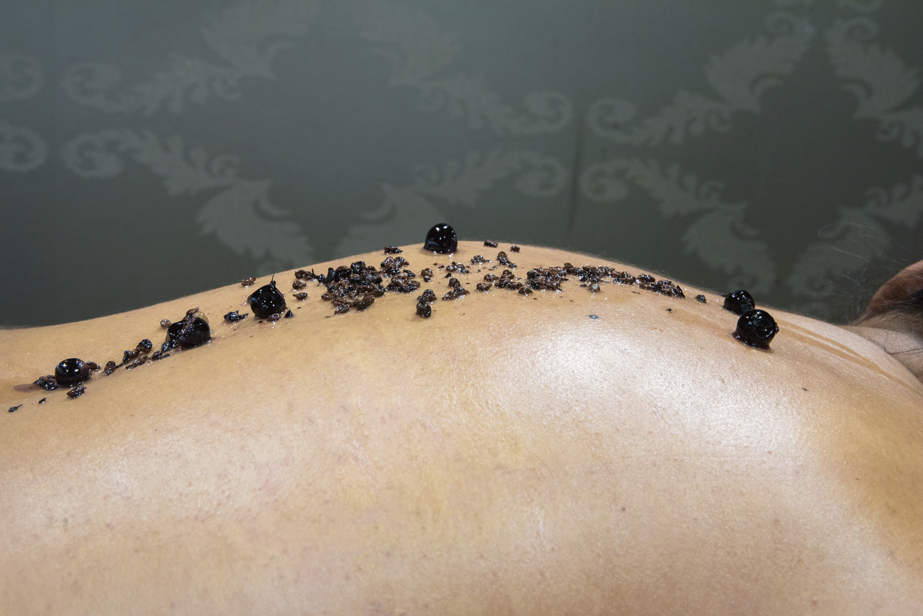 ​​Wine Oil Spa Villa de Laguardia