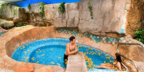 SPA Nature Ilunion Les Corts