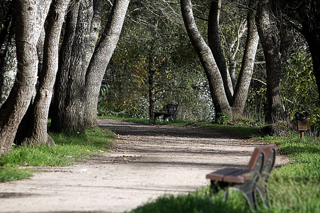 Camino de Santiago