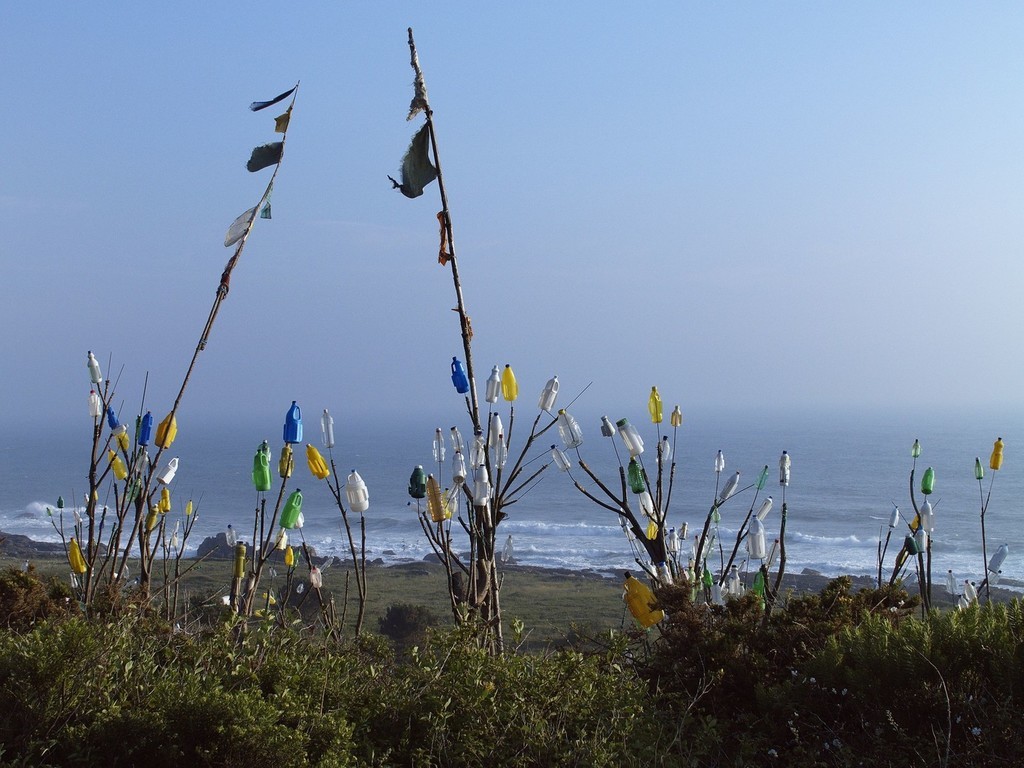 Camino de Santiago