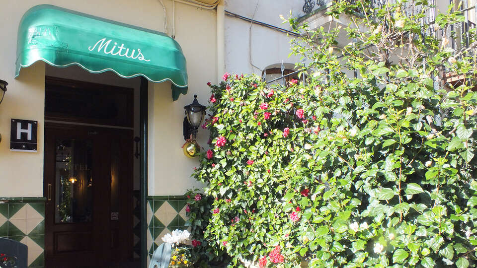 Hotel Mitus