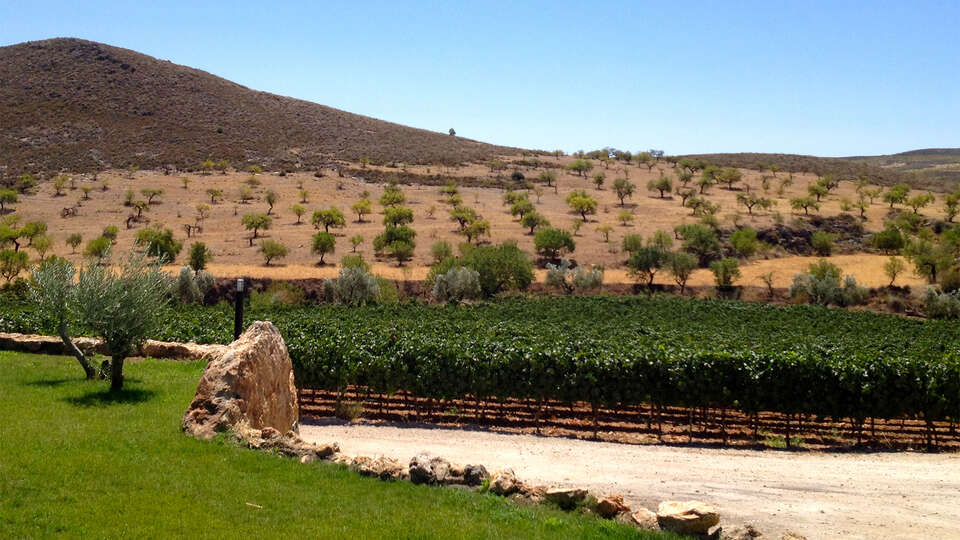Hotel & Winery Señorío de Nevada