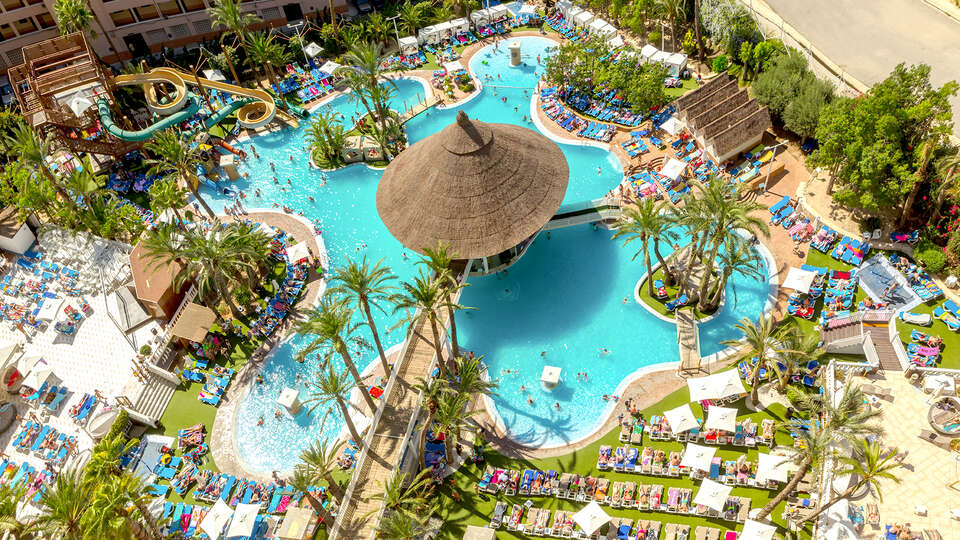 Magic Tropical Splash