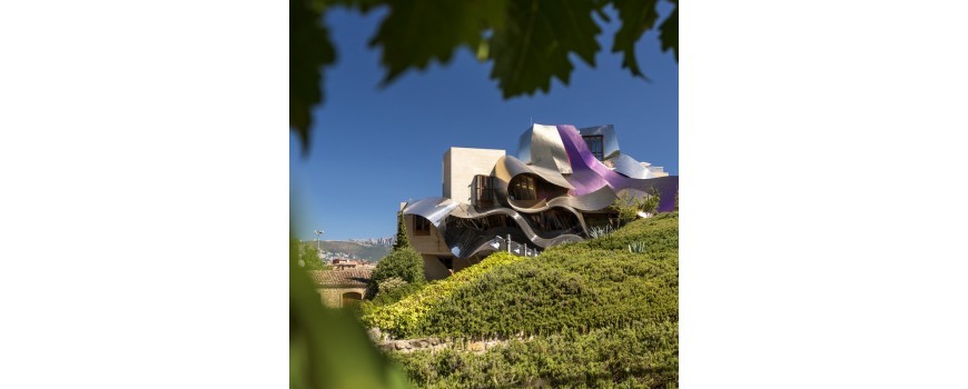 Visita a las Bodegas Marqués de Riscal: una experiencia para los sentidos